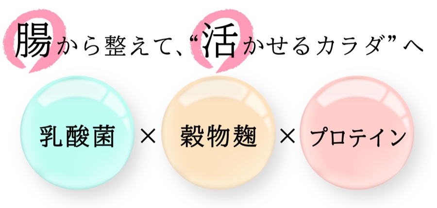 腸から整えて、活かせるカラダへ。乳酸菌×穀物麹×プロテイン