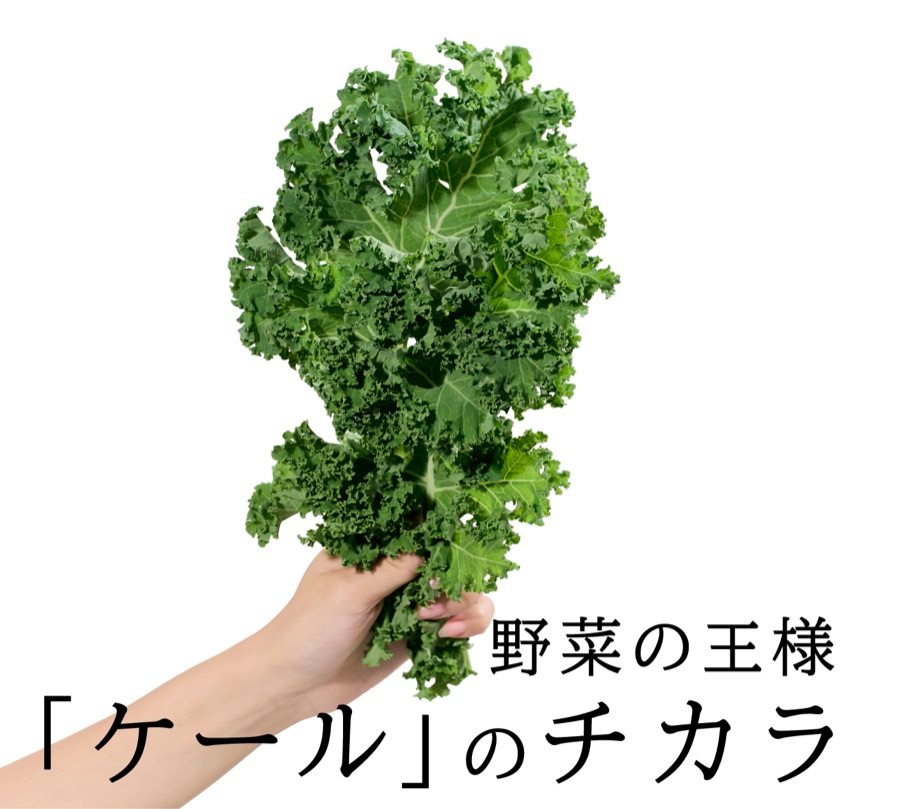 野菜の王様「ケール」のチカラ